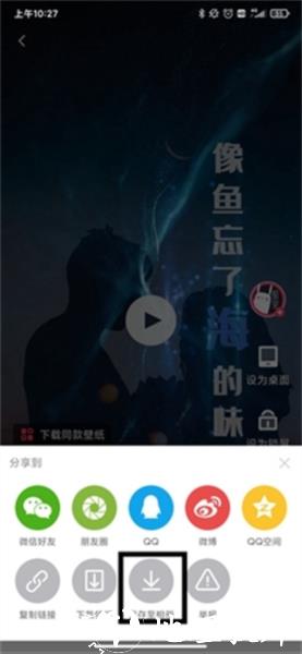 羞兔动态壁纸6
