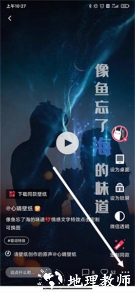 羞兔动态壁纸5