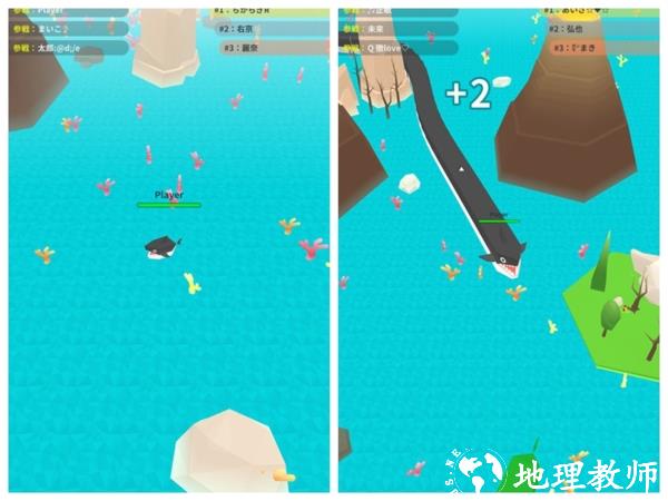 动物之海图片1