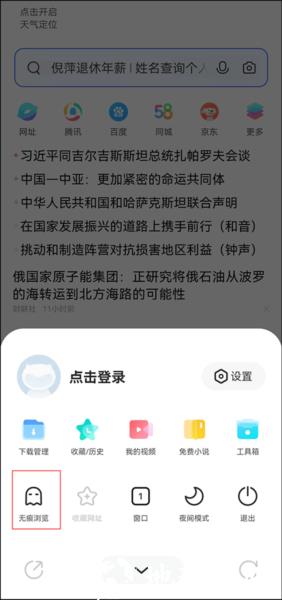 vivo浏览器图片7