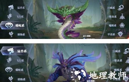 斗罗大陆魂师对决图片11