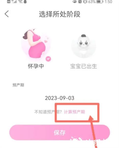 妈妈网孕育11