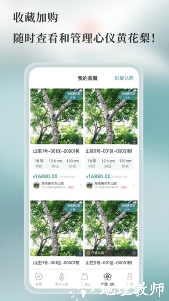 良木森林图片4