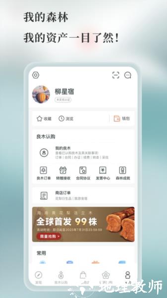 良木森林图片3