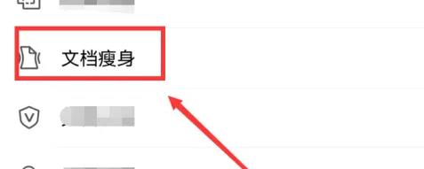 wps图片5