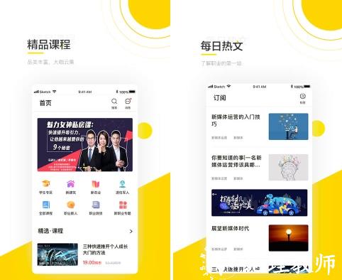 斑鸠职业