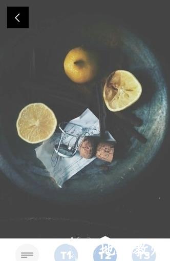 VSCO Cam图片9