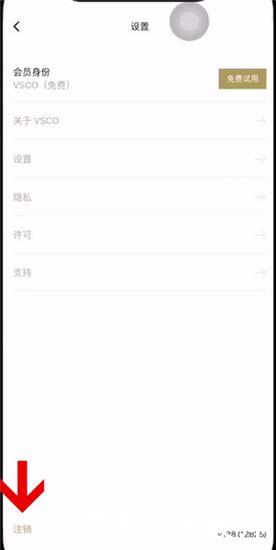 vsco相机图片