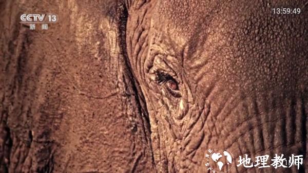 人人TV电视版图片3