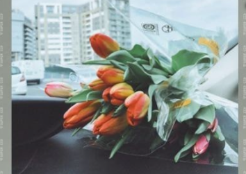 1676605777827345.png image.png