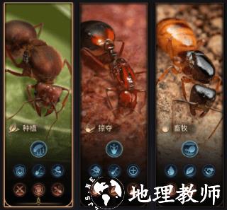 蚂蚁地下王国7