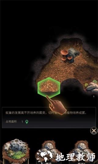 蚂蚁地下王国2