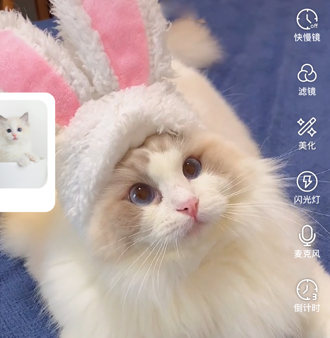 1655702950185265.png image.png