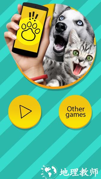 pettranslator图片3