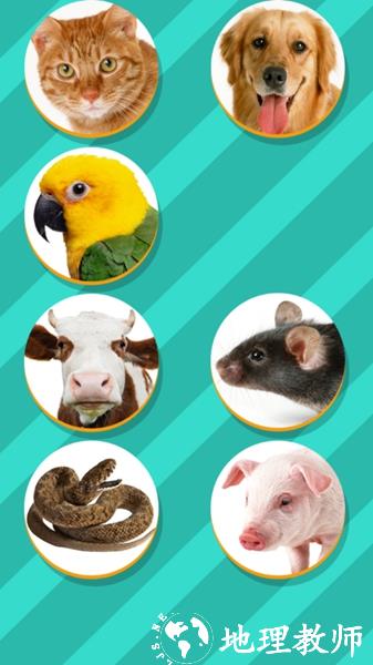 pettranslator图片4