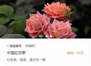 1724314176877724.png image.png