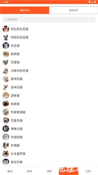 萌趣猫狗翻译器图片8