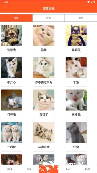 萌趣猫狗翻译器图片5