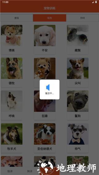 萌趣猫狗翻译器图片6