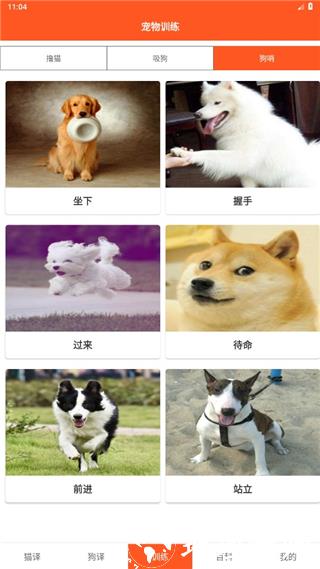 萌趣猫狗翻译器图片7