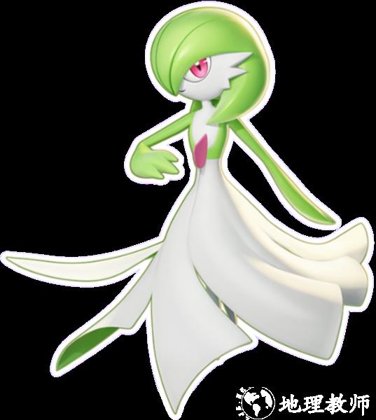 宝可梦大集结12