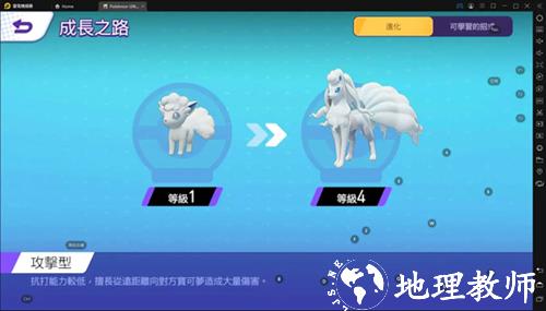 宝可梦大集结30