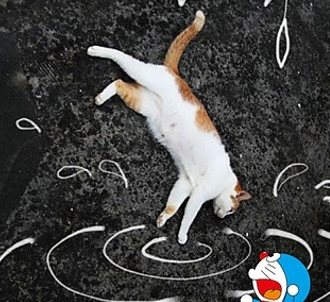 1662096994484530.png image.png