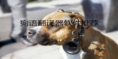 狗语翻译器