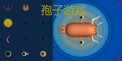 孢子游戏