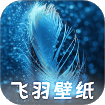 飞羽壁纸自定义版