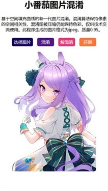 小番茄图片混淆工具app2