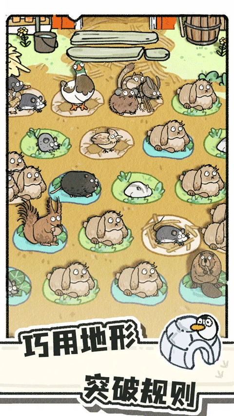 猫神牧场官方正版1