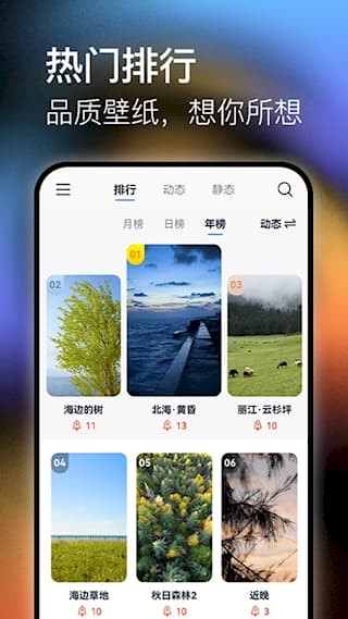 极壁纸app1