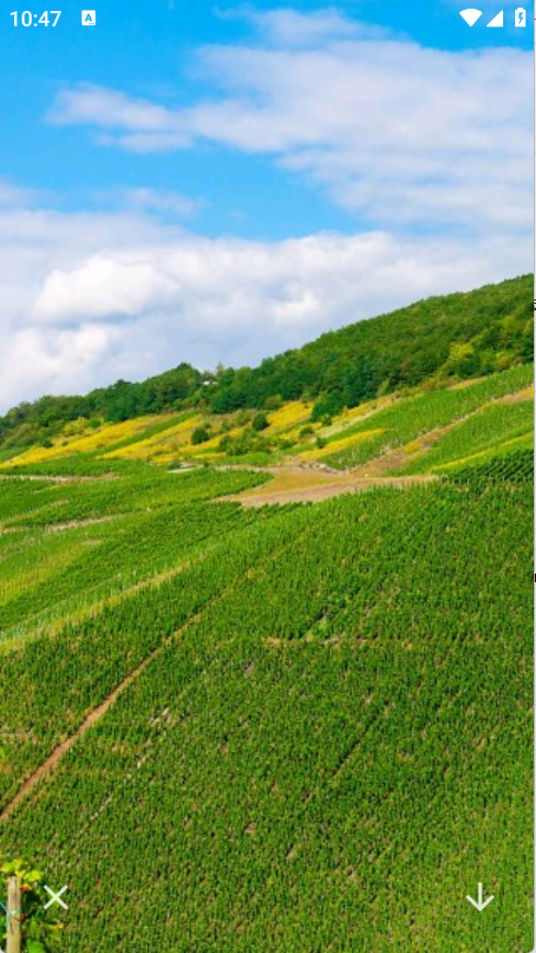 神图壁纸精灵app5