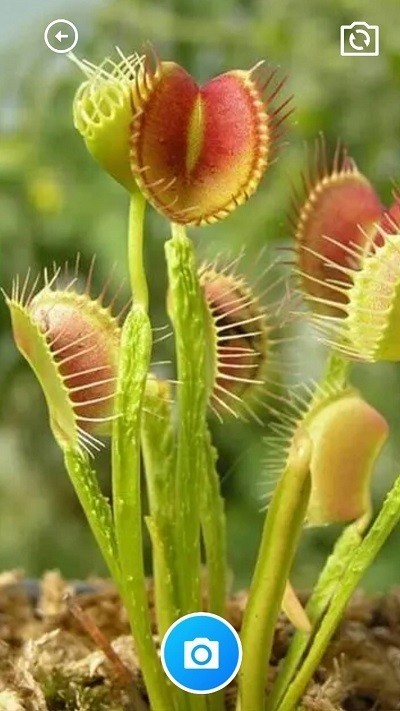 家乐全能工具箱app3