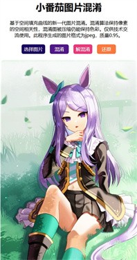 小番茄图片混淆工具app1