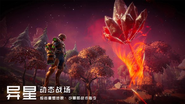 远星4