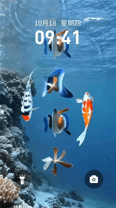 锦鲤金鱼壁纸app3
