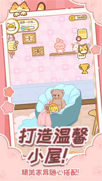 领养一只流浪猫3