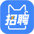 招聘猫