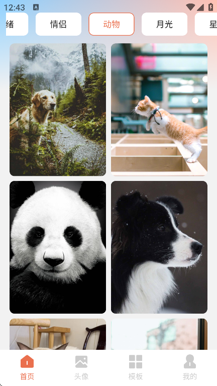 星狐壁纸app2