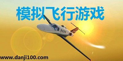 模拟飞行游戏