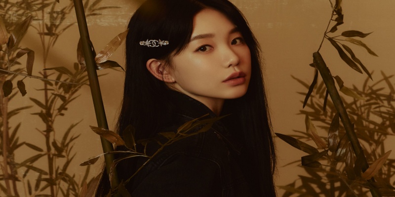 免费影视盒子有哪些_免费影视盒子推荐