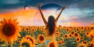 特效软件