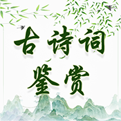 古诗词鉴赏app