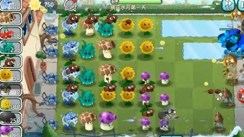 植物大战僵尸：旅行阳光不减反增版3