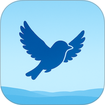 小鸟记事纯净版