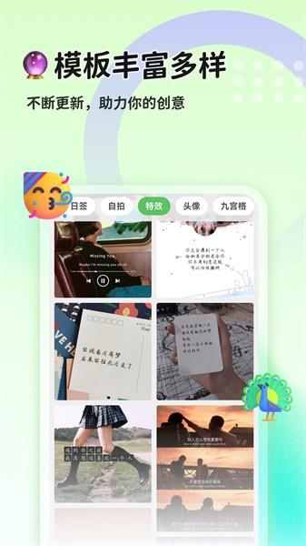 猫制图3