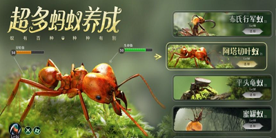 蚂蚁游戏