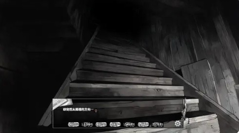 啮齿动物No44观察记录完整版4